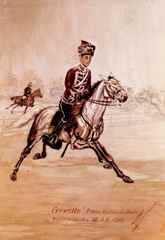 Crevette