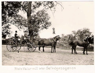 Selbstgezogene
